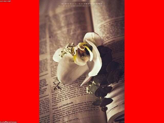 Groom's Beaded Boutonniere